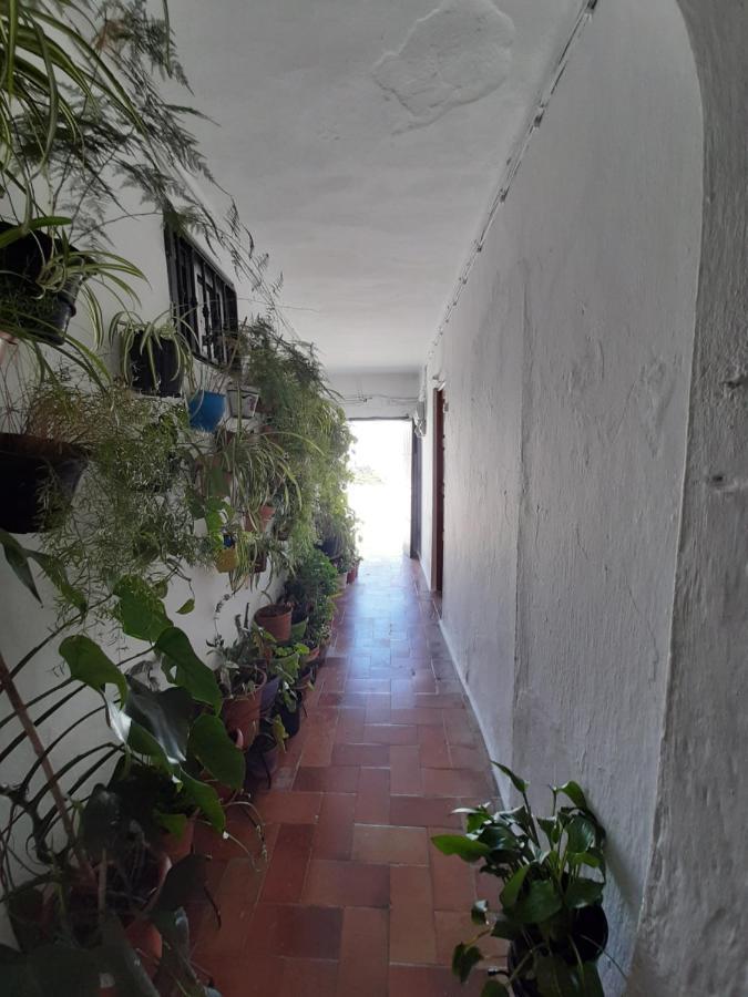 Dos Casitas, Dos Calles, - Loft De La Morena O Estudio Jr Vejer de la Frontera Eksteriør billede