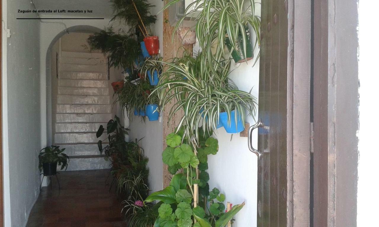 Dos Casitas, Dos Calles, - Loft De La Morena O Estudio Jr Vejer de la Frontera Eksteriør billede